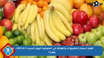 قفزة أسعار الخضروات والفواكه في المنوفية اليوم السبت 9-8-2025.. كم بلغت؟